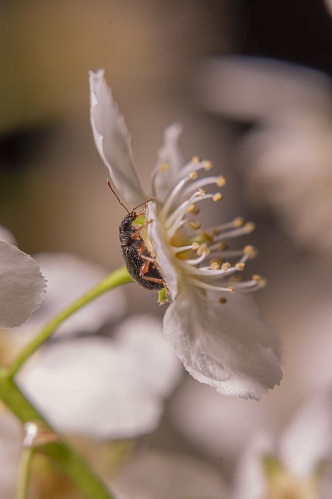 Photograph by Екатерина Бурикова