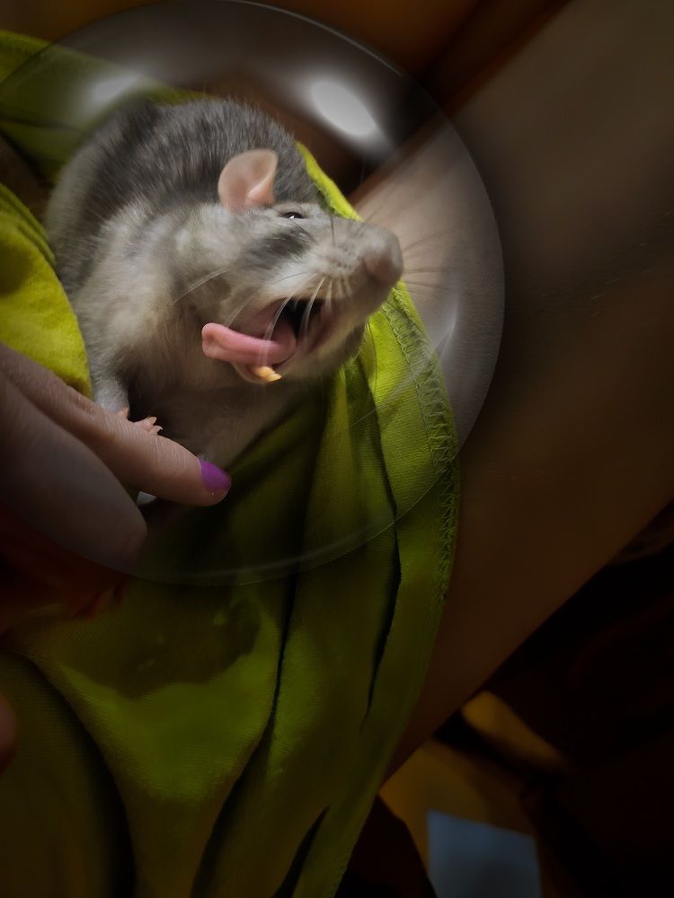 Photograph by Софья