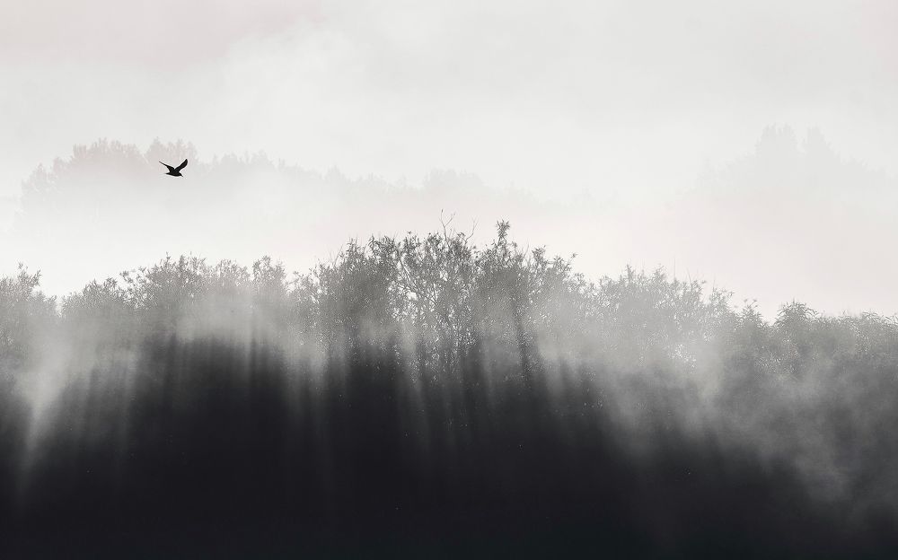 Photograph by Наталья Лабодина