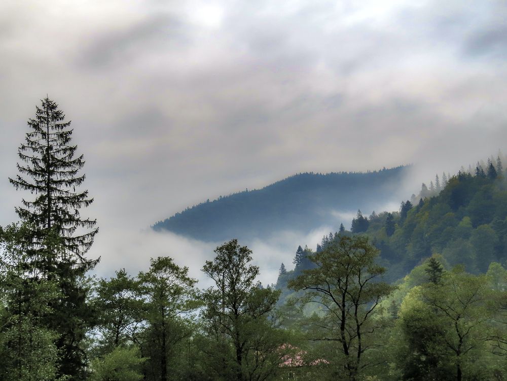 Photograph by Михаил Заброцкий