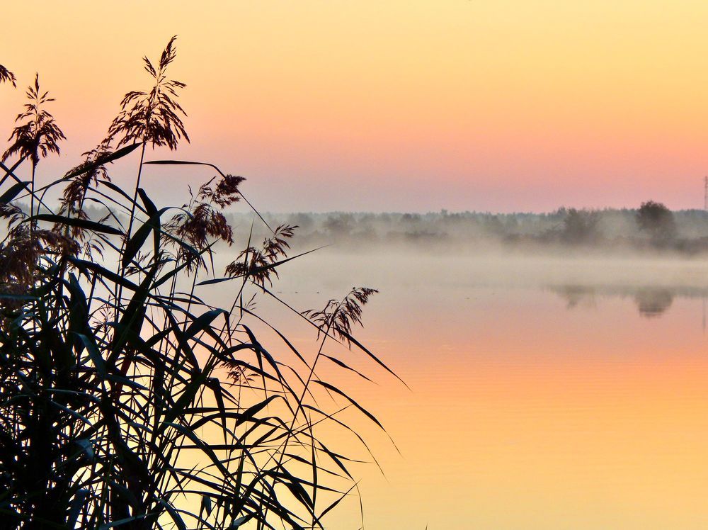 Photograph by Александр Шувалов
