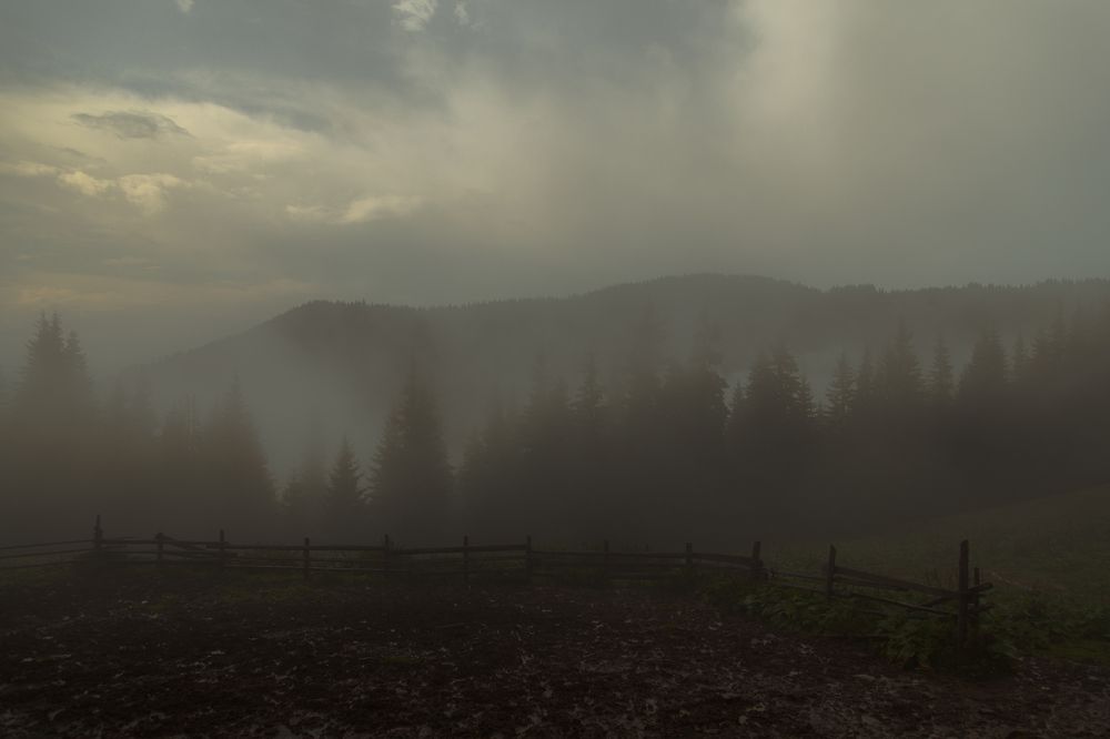 Photograph by Вадим Фаріон