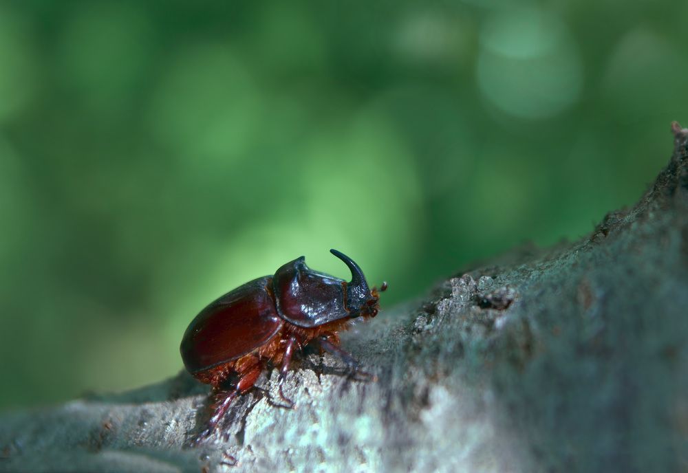 Photograph by Дейнекина Галина