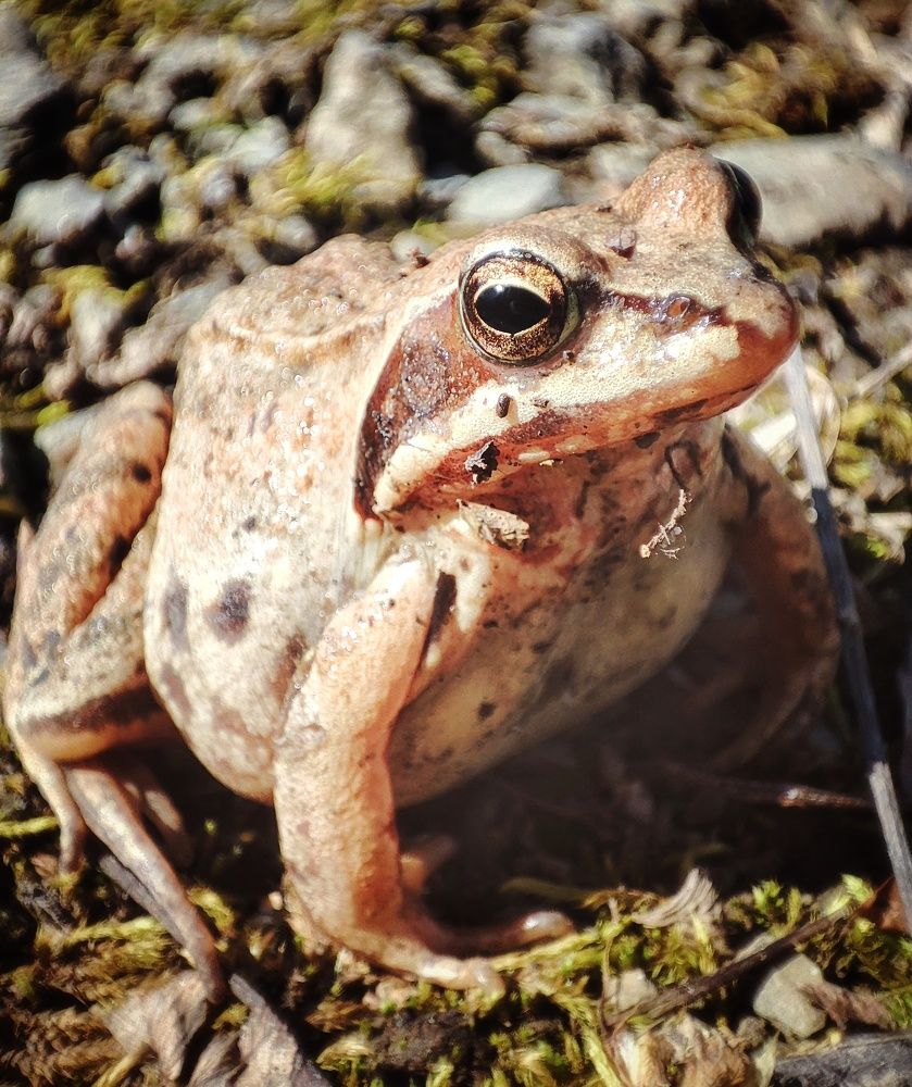 Photograph by Алина Эбель