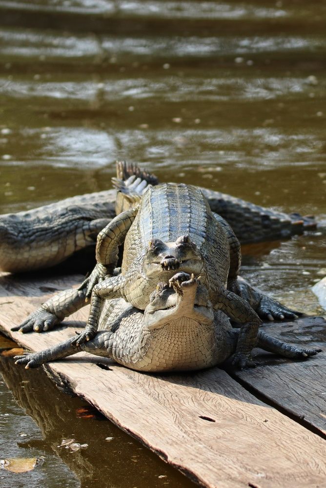 Photograph by Shabeeb