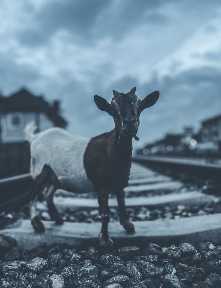 Photograph by Samuel Udofia