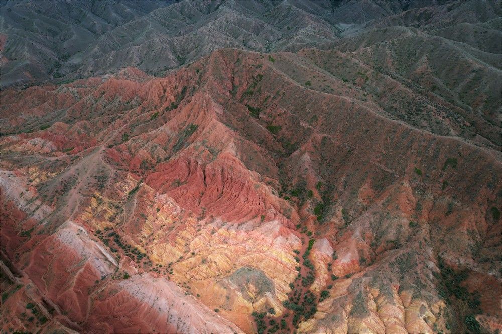 Photograph by Максимушкина Ольга