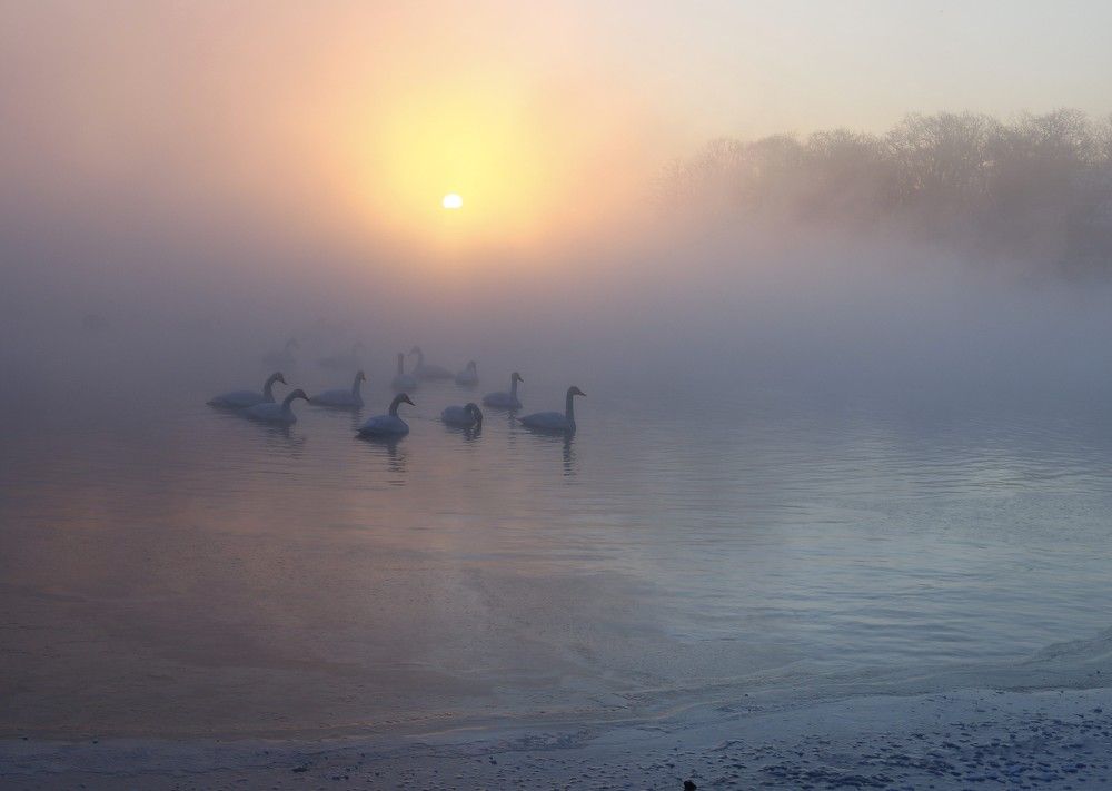 Photograph by Наталья Турчик