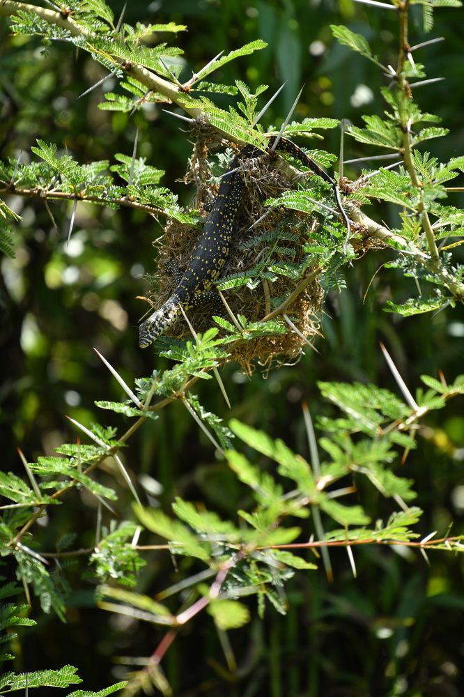 Photograph by Алексей Королев