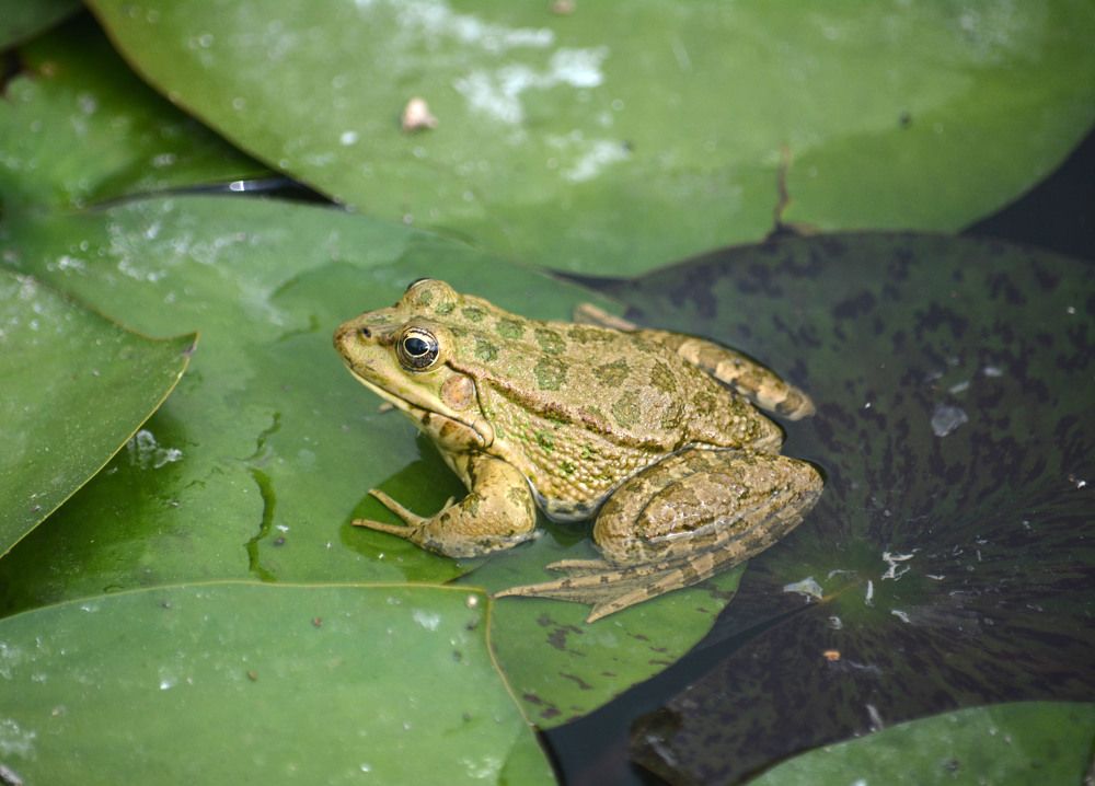 Photograph by Екатерина Крючкова