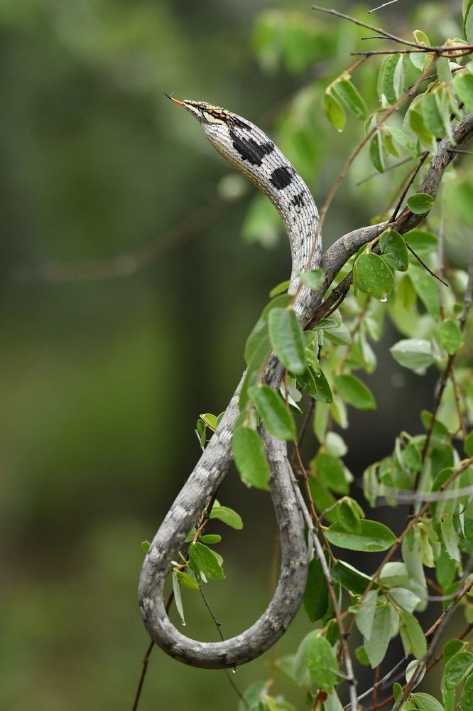 Photograph by Алексей Королев