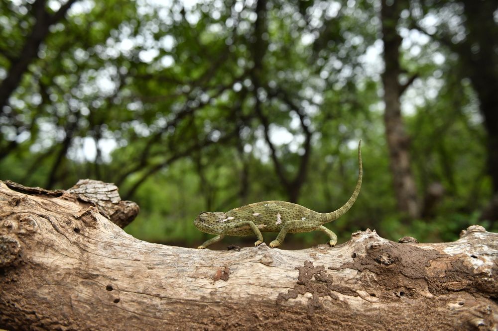 Photograph by Алексей Королев