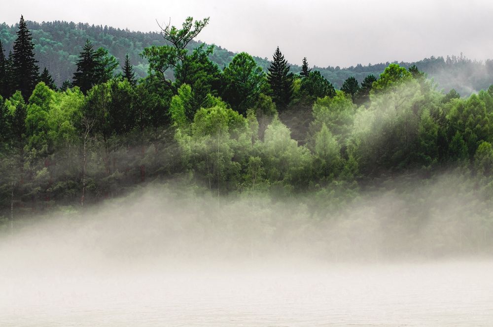 Photograph by Анастасия Сахаревич