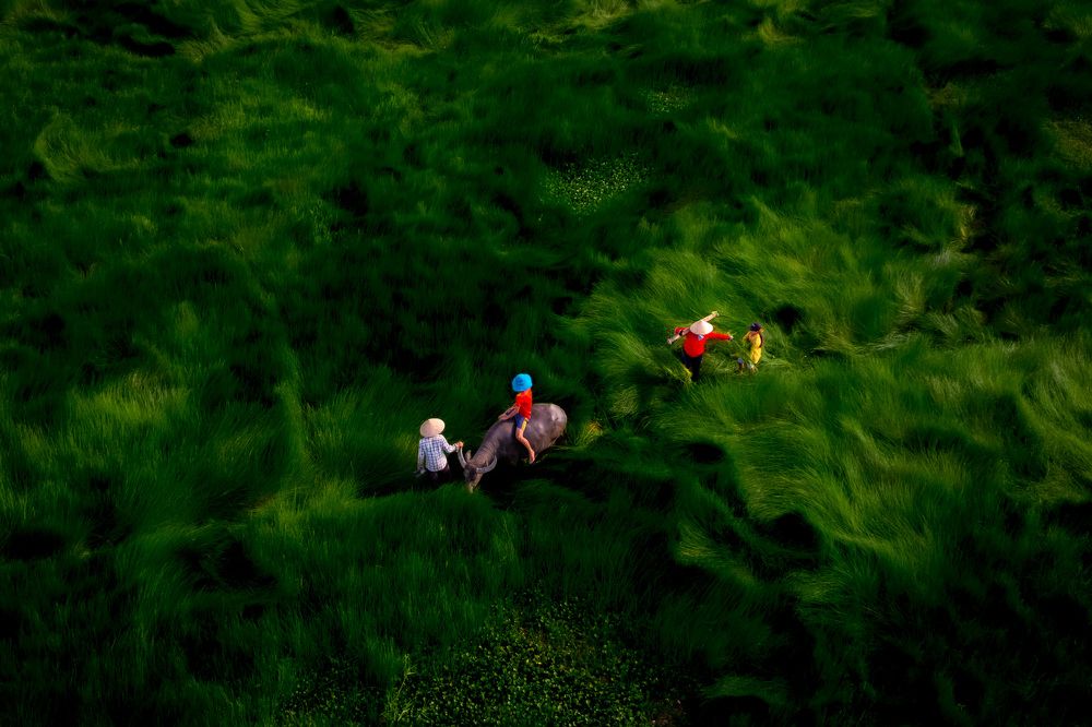 Photograph by Minh Tú Nguyễn