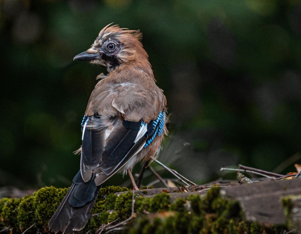 Photograph by Курлянцев Алексей