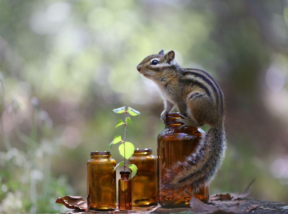 Photograph by Евгения Левина