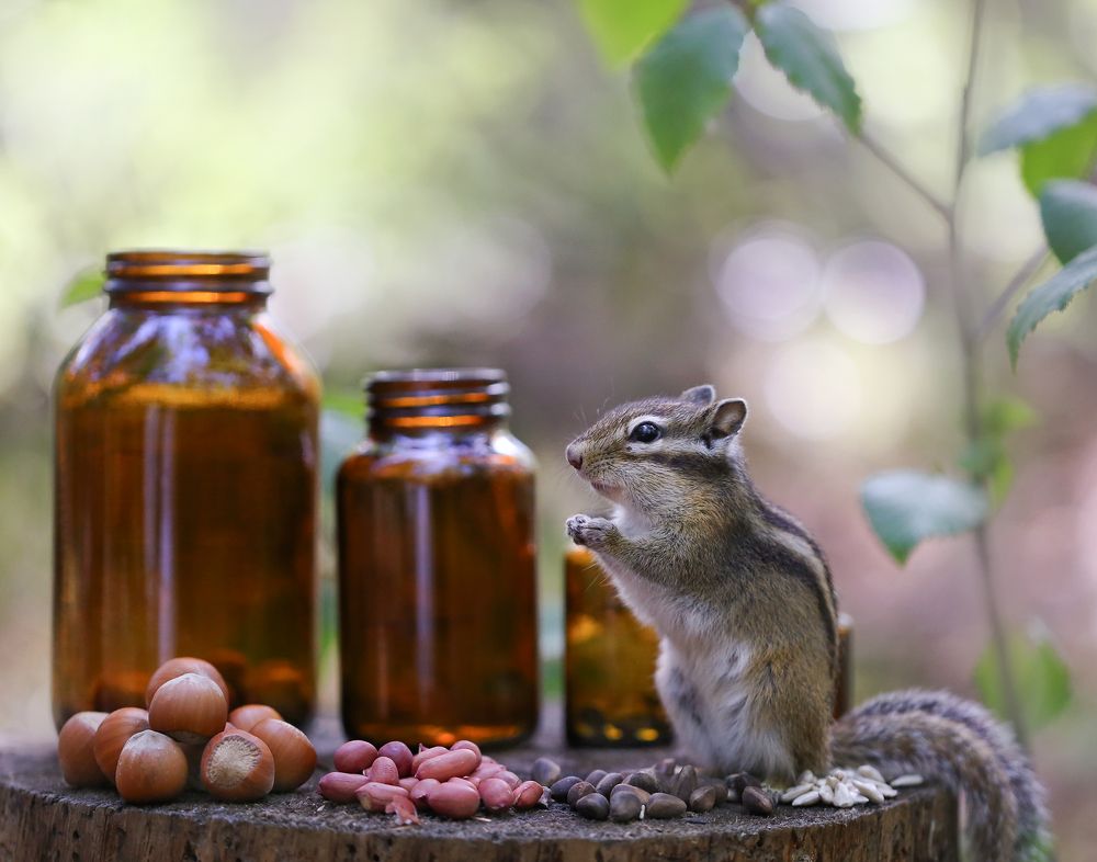 Photograph by Евгения Левина