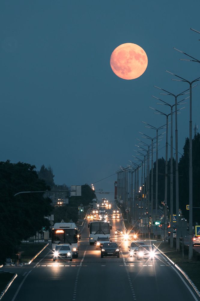 Photograph by Сергей Фадин