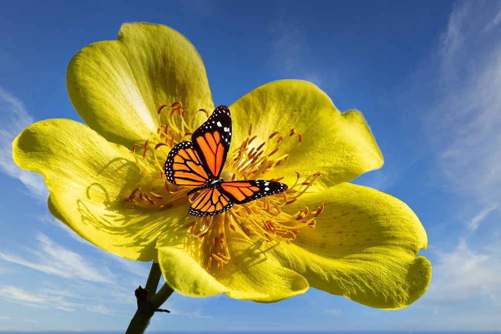 Photograph by Vy Van Bui