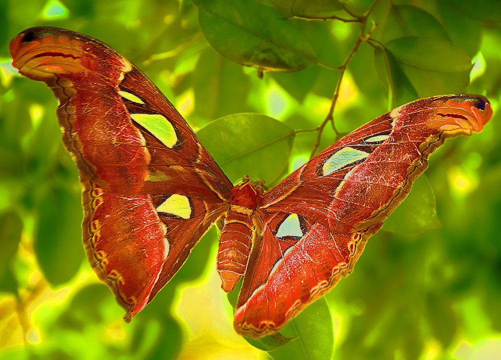 Photograph by Vy Van Bui