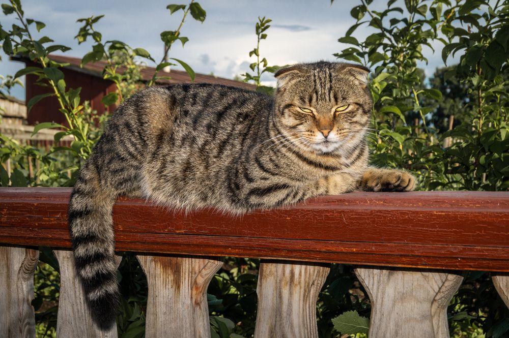 Photograph by Николай Мокшин