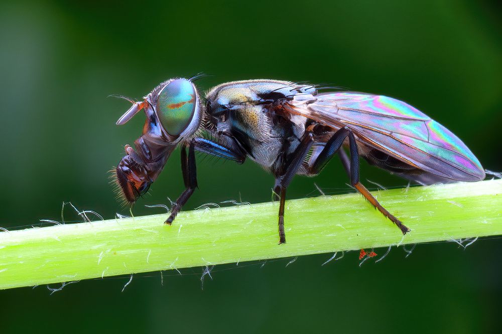 Photograph by Chen-You Li