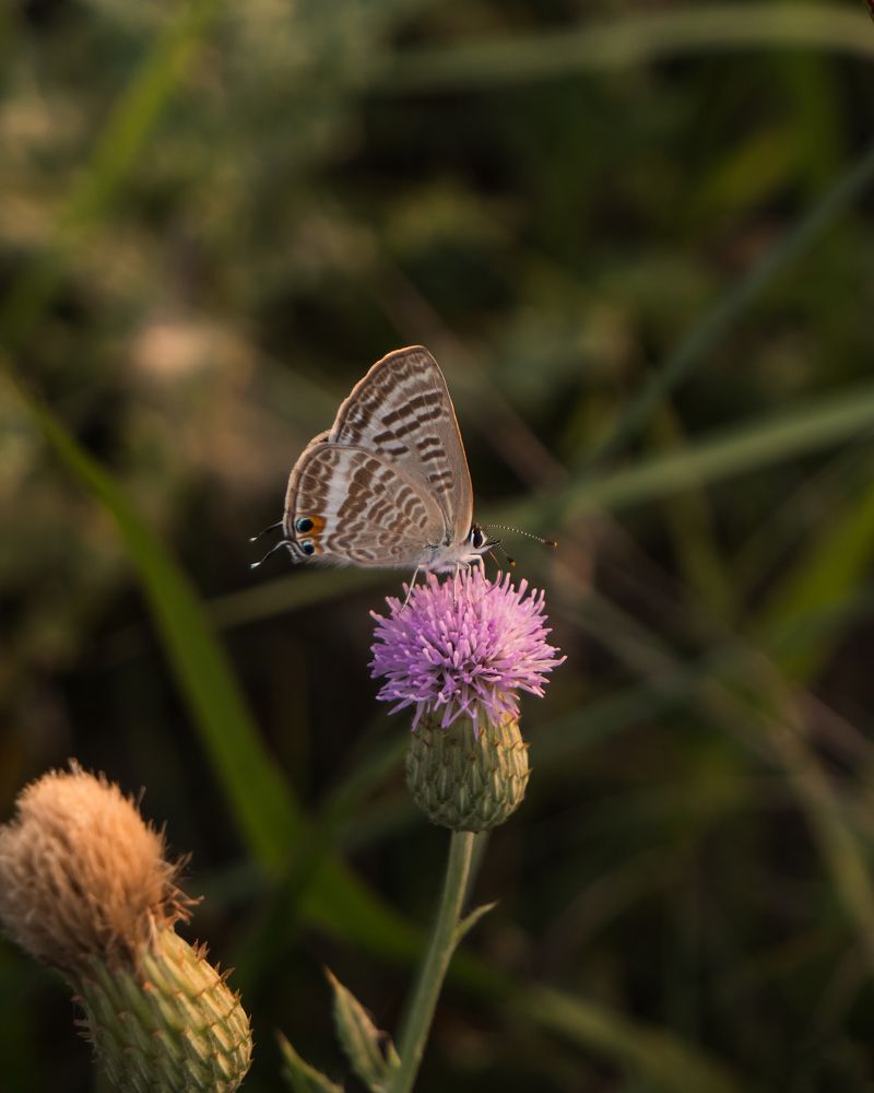 Photograph by Roni Gayen