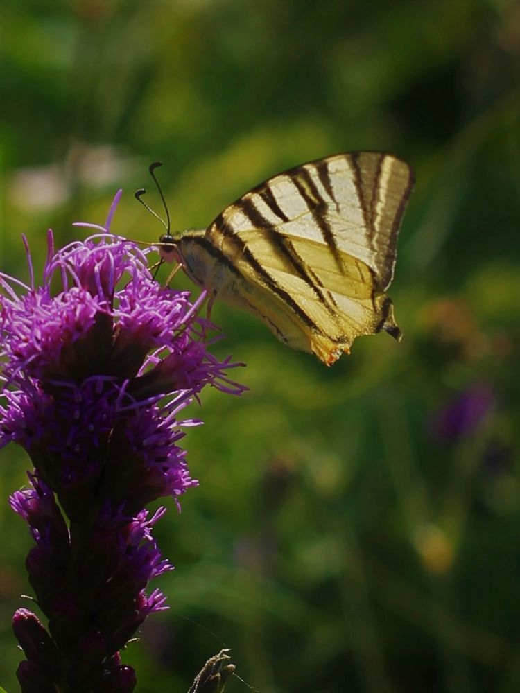 Фотография автора Таня Долгушева