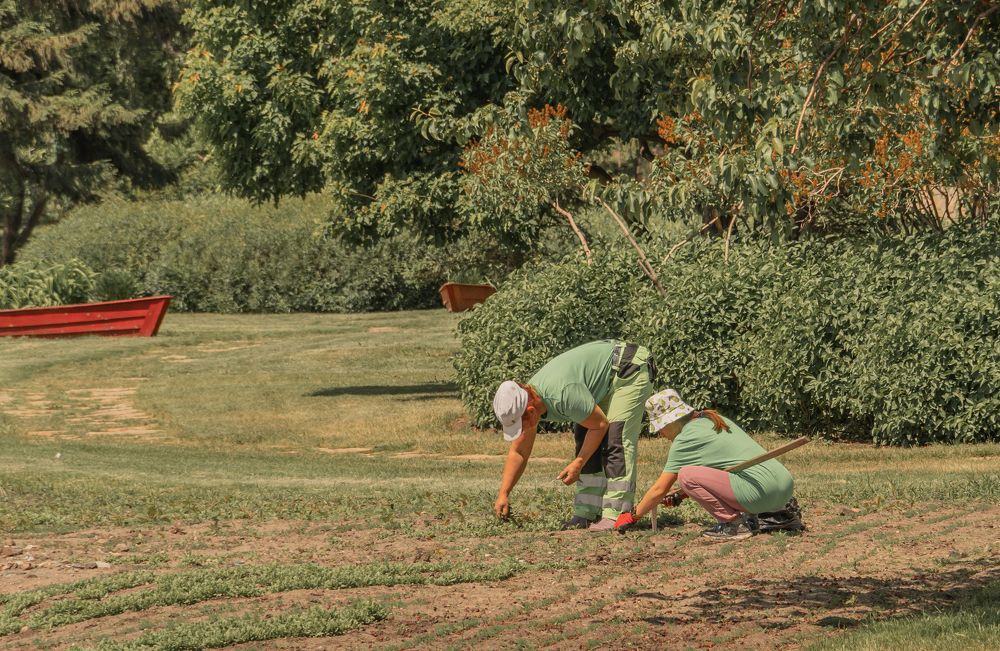 Photograph by Максим Грибанов