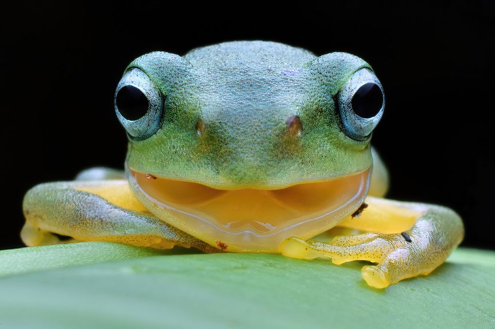 Photograph by Chen-You Li