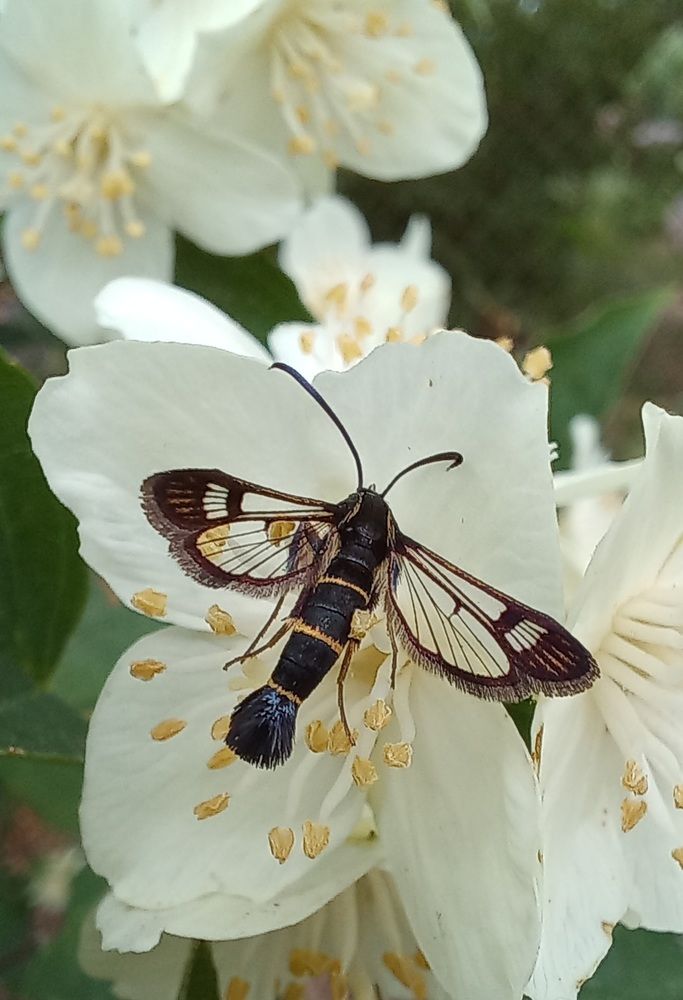 Photograph by Евгений Савулькин