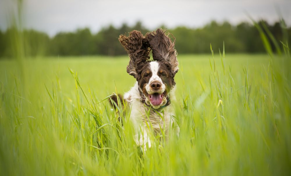 Photograph by Елена