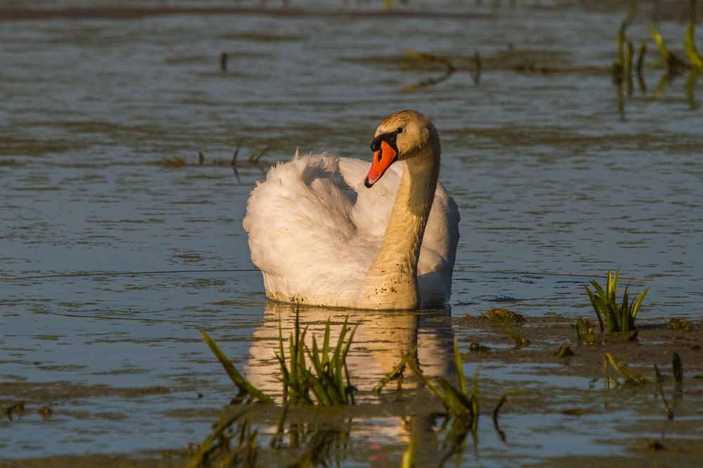 Photograph by Дмитрий Пасынков