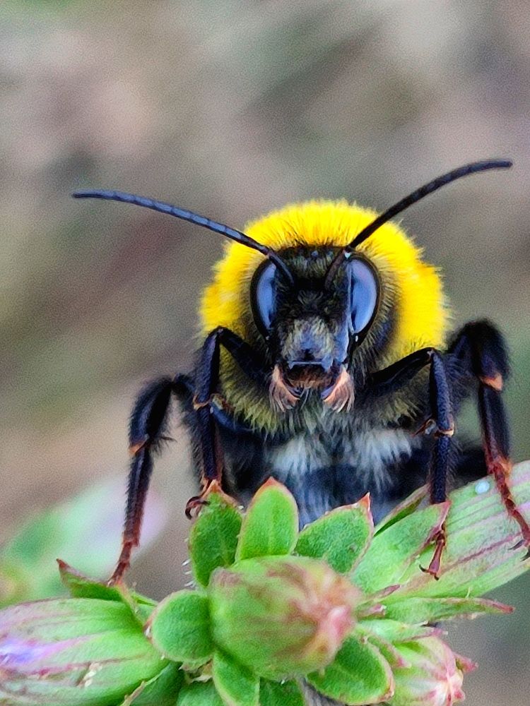 Photograph by Татьяна Долгушева