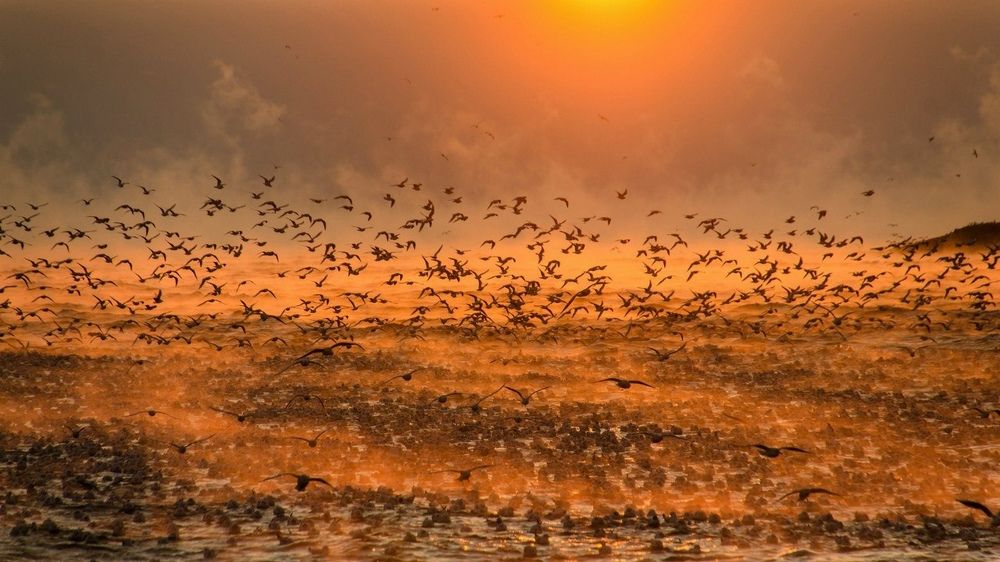 Photograph by Алексей Яковлев