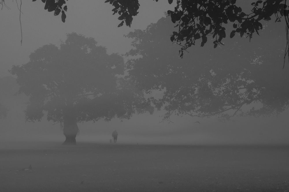 Photograph by Partha Mukhopadhyay