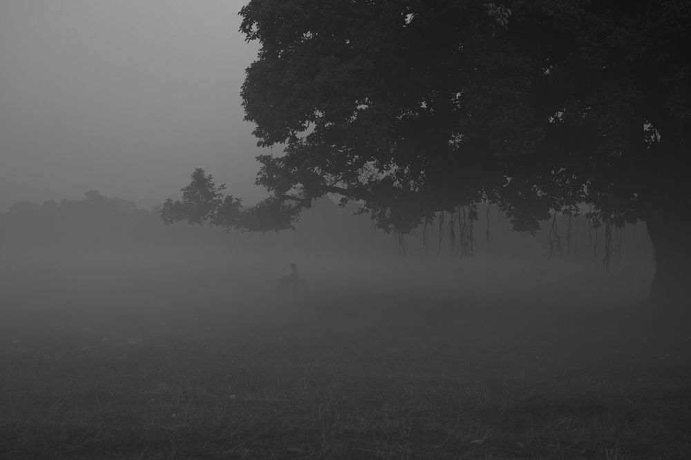 Photograph by Partha Mukhopadhyay