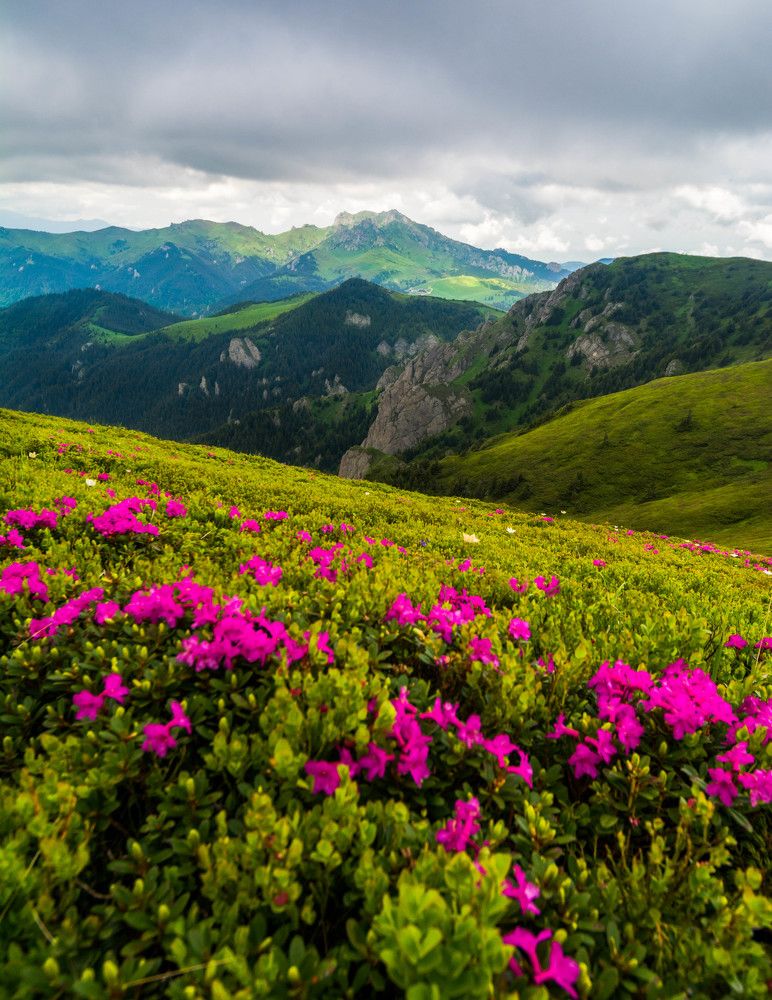 Photograph by Ana-Maria Tatarus