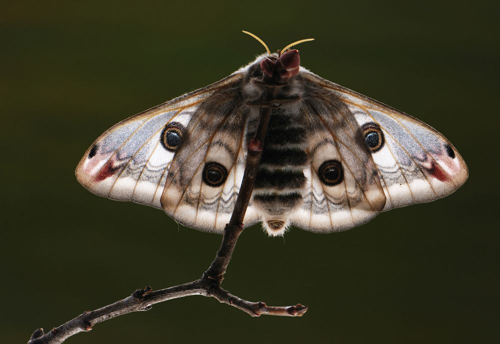 Photograph by Александр Чувилин