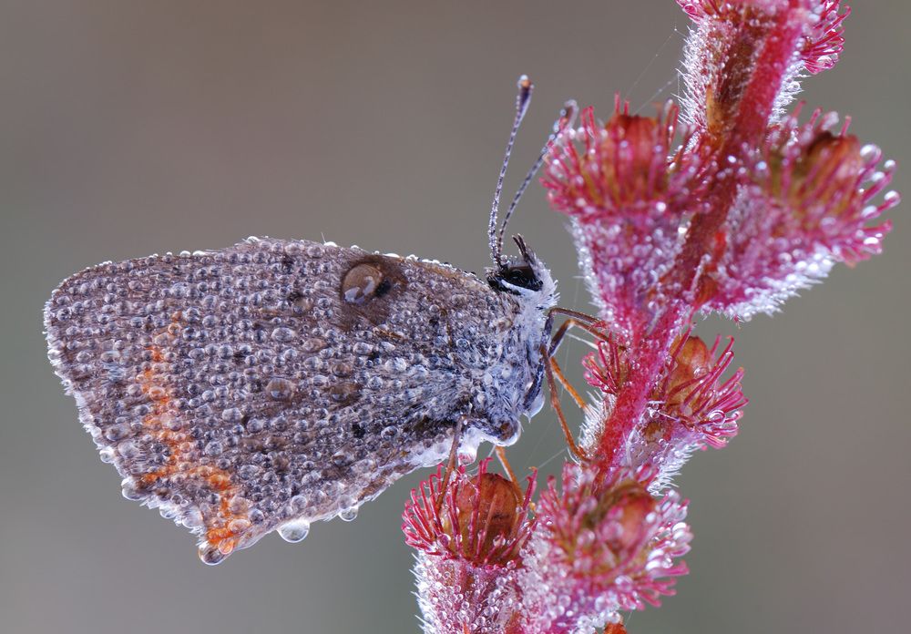 Photograph by Александр Чувилин