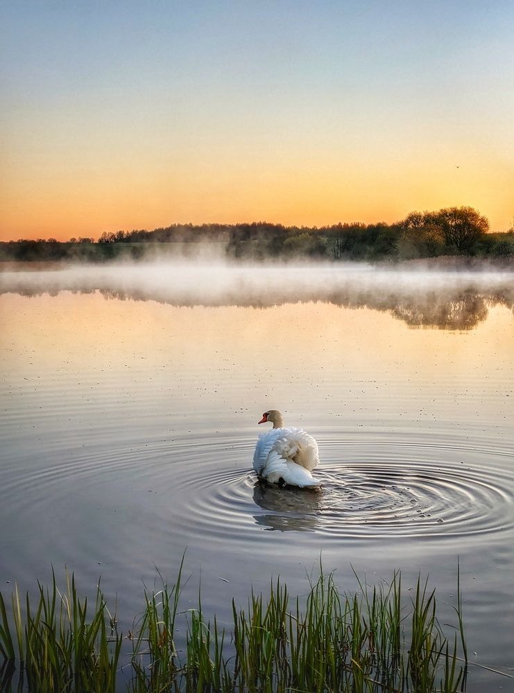 Photograph by Владимир Шаруба