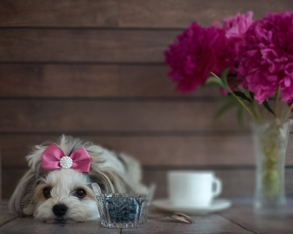 Photograph by Люда Яковлева