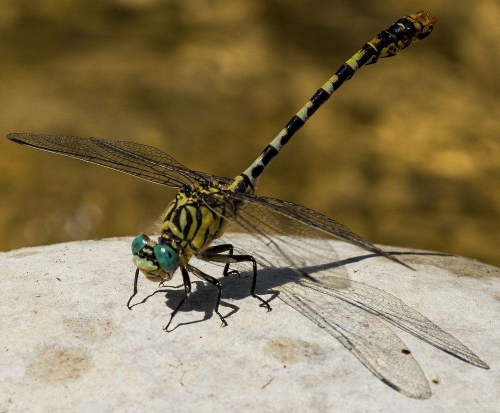 Photograph by Олег Башкуров