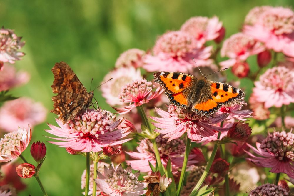 Photograph by Алексей Голубев