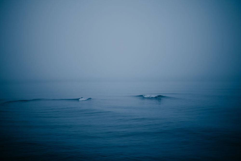 Photograph by Лигус Анна