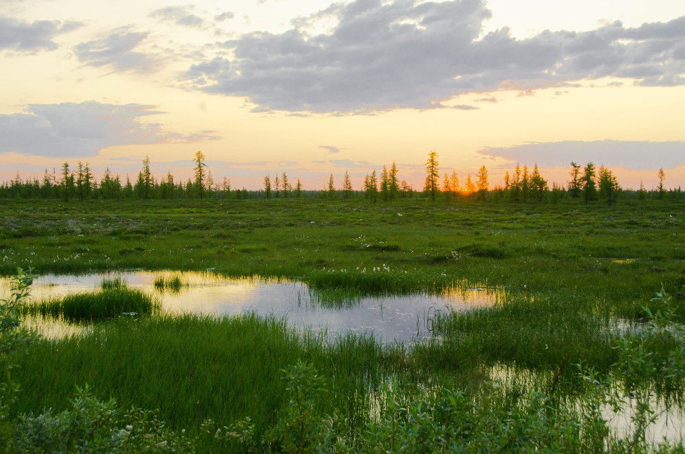 Фотография автора Мария Черница