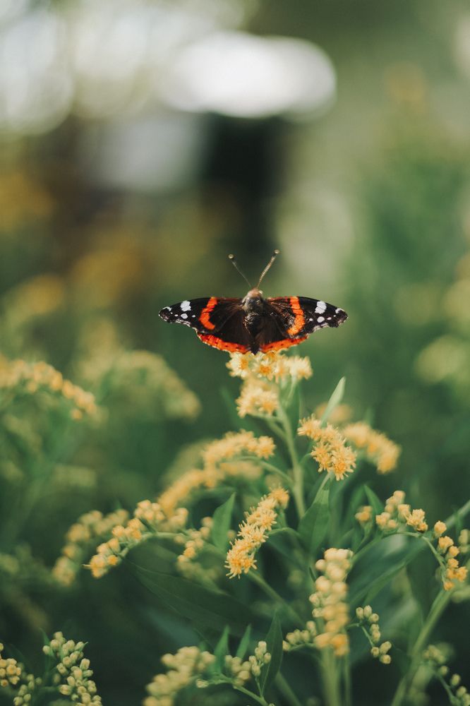 Photograph by Юлия Ткачёва