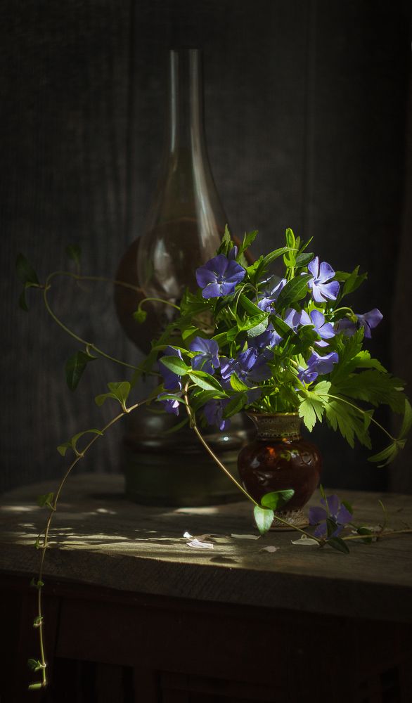 Photograph by Хвойнова Елена