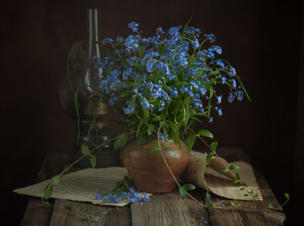 Photograph by Хвойнова Елена