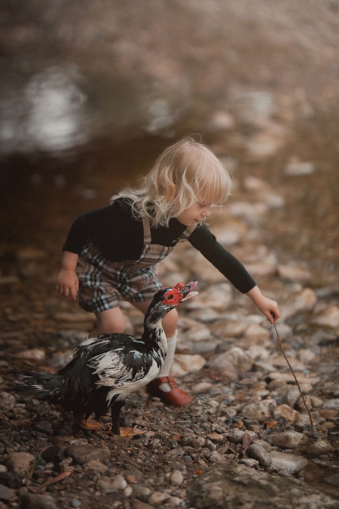 Photograph by Rotem Katz